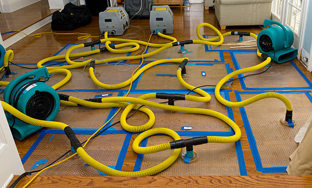 Professional Sewage Cleanup technician working in Riverside, MO
